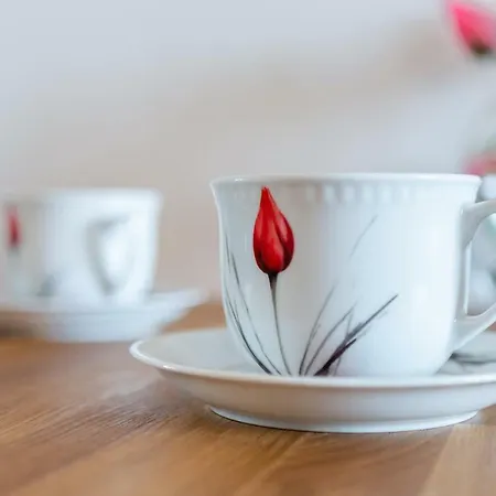 Tulip-apartments - Jagiellonska 24 Poddasze Bez Windy Appartamento